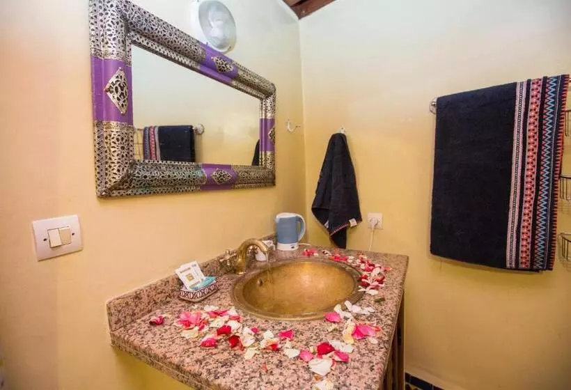 Riad Zina Fes   Elegance In The Heart Of Fes