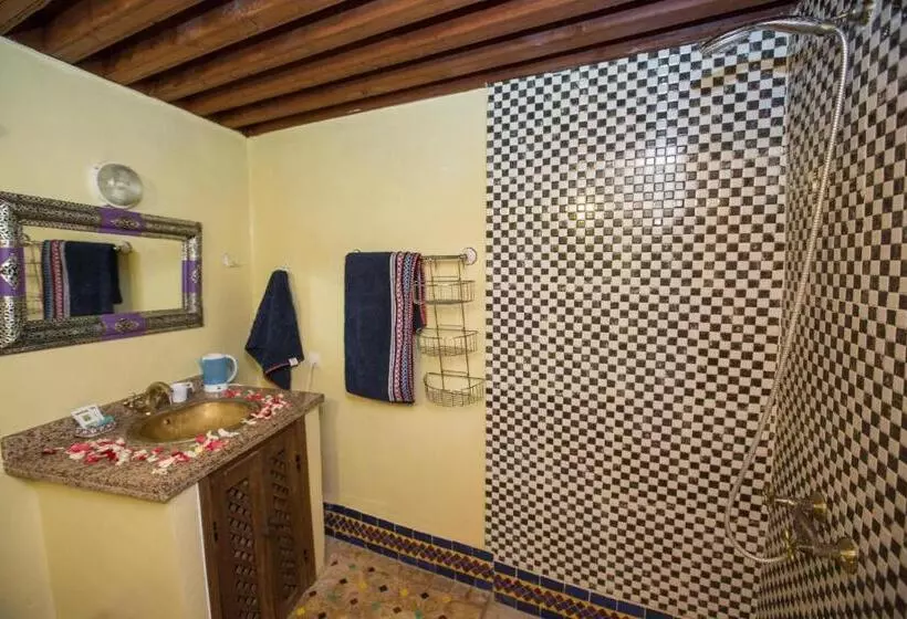 Riad Zina Fes   Elegance In The Heart Of Fes