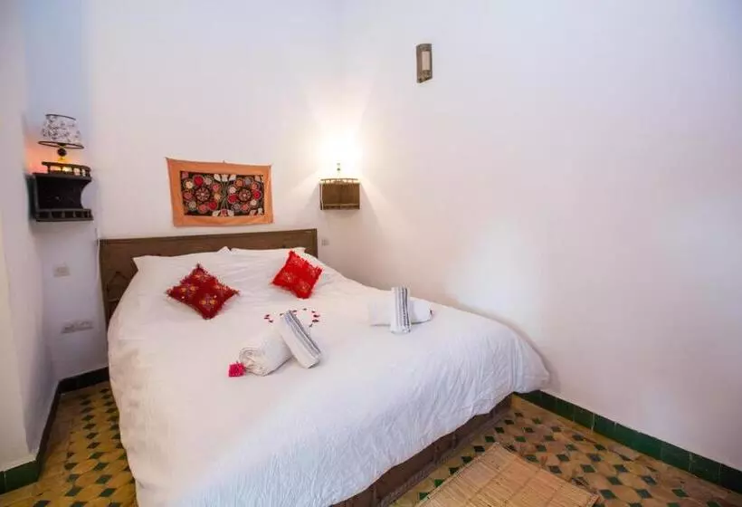 Riad Zina Fes   Elegance In The Heart Of Fes