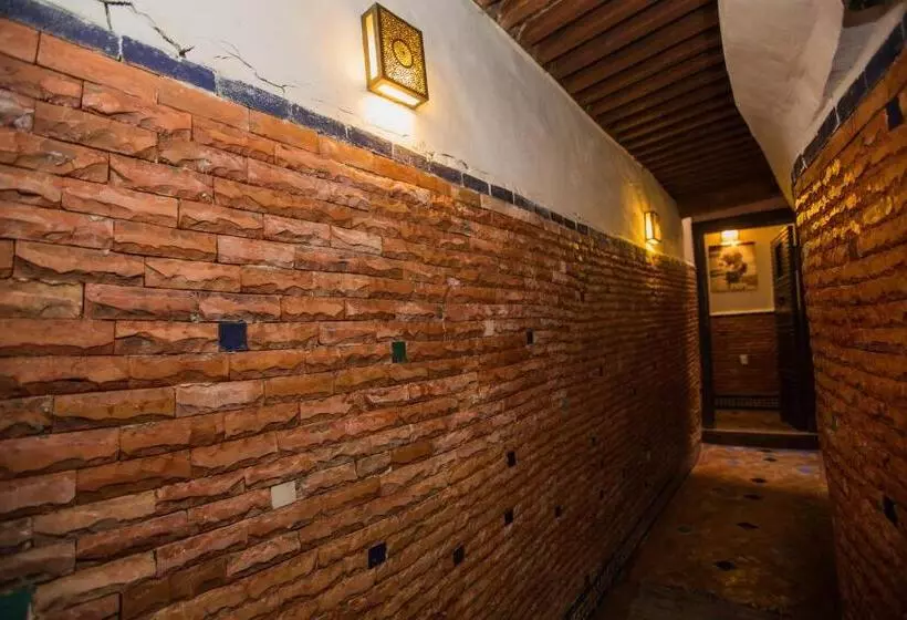 Riad Zina Fes   Elegance In The Heart Of Fes