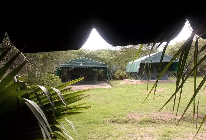 هتل Cactus Eco Camp And Lodge