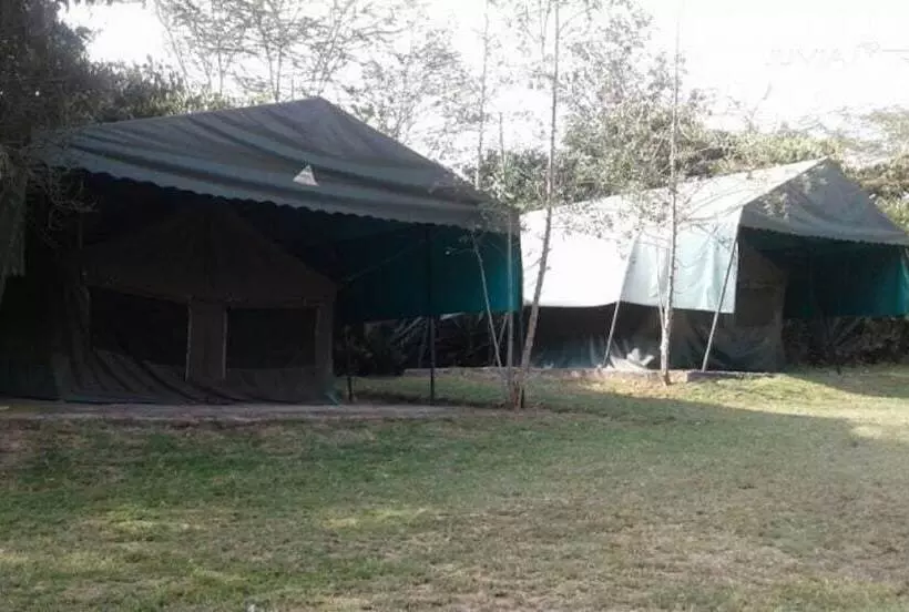 هتل Cactus Eco Camp And Lodge