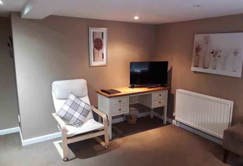 فندق فئة نجمة واحدة The Water Rat