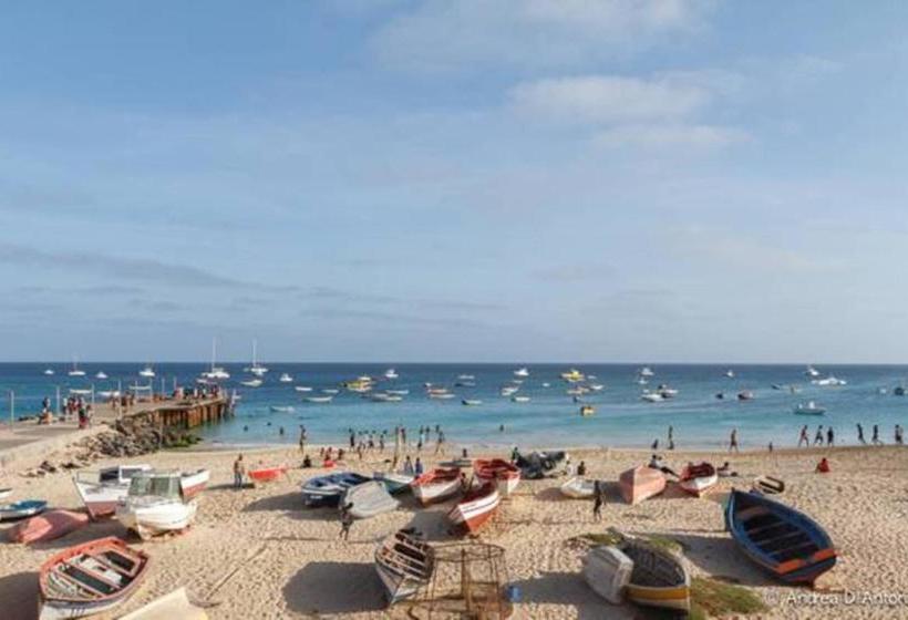 پانسیون Holiday B&b