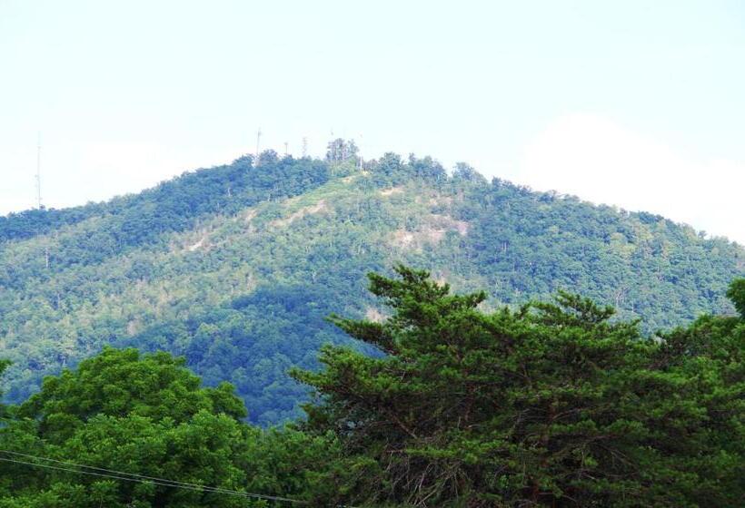 American Motel   Lenoir