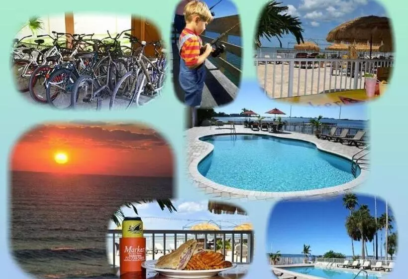 호텔 Beso Del Sol Resort