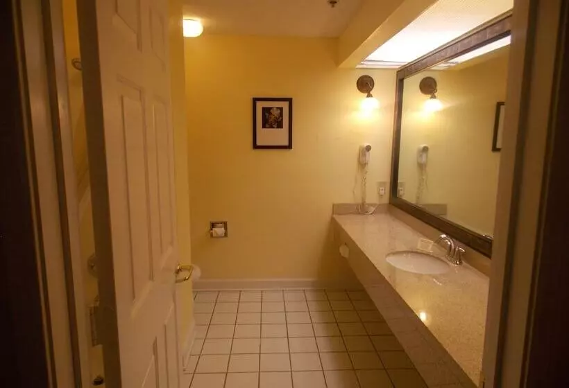 酒店 Decatur Inn & Suites