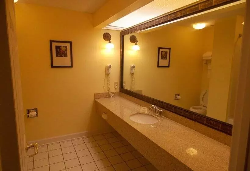 酒店 Decatur Inn & Suites