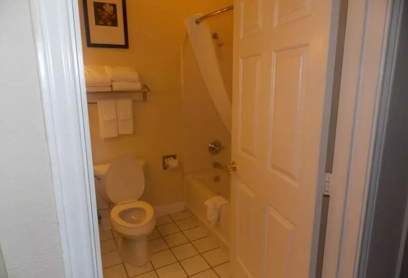 酒店 Decatur Inn & Suites