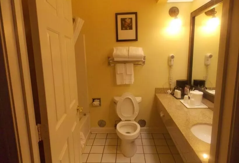 酒店 Decatur Inn & Suites