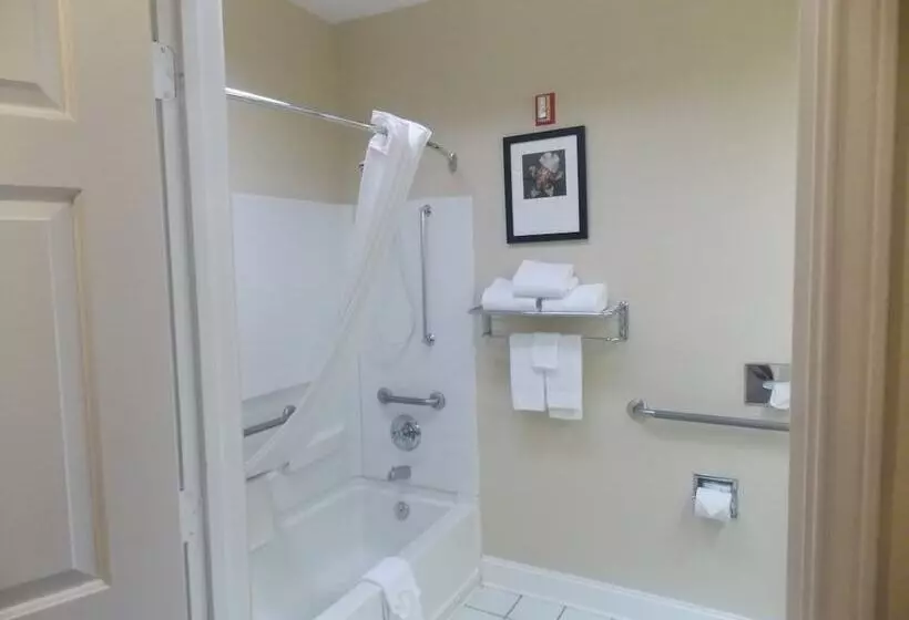 酒店 Decatur Inn & Suites