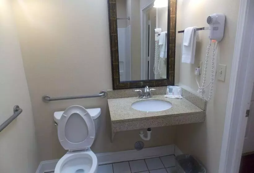 酒店 Decatur Inn & Suites