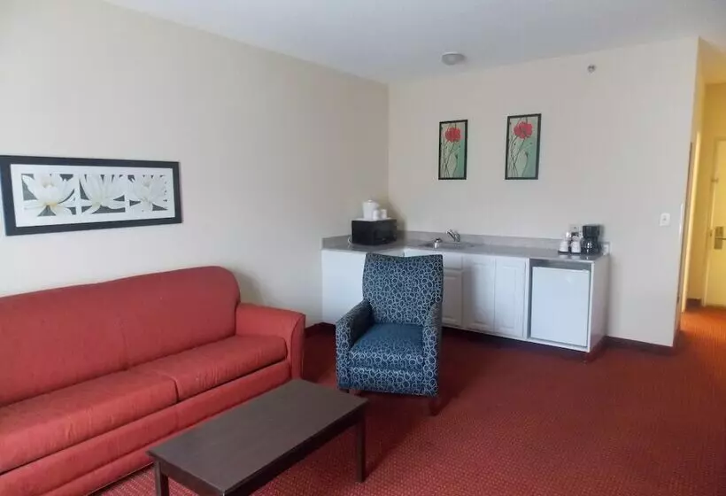 酒店 Decatur Inn & Suites