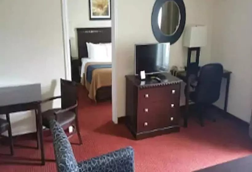 酒店 Decatur Inn & Suites