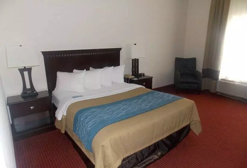 酒店 Decatur Inn & Suites