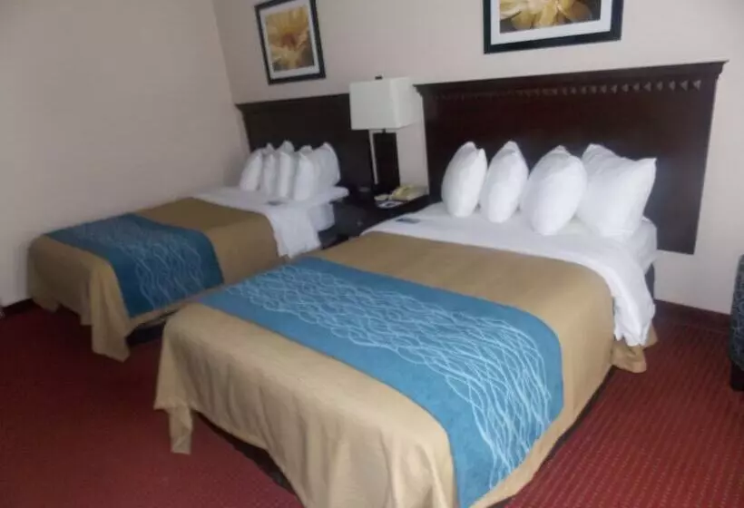 酒店 Decatur Inn & Suites