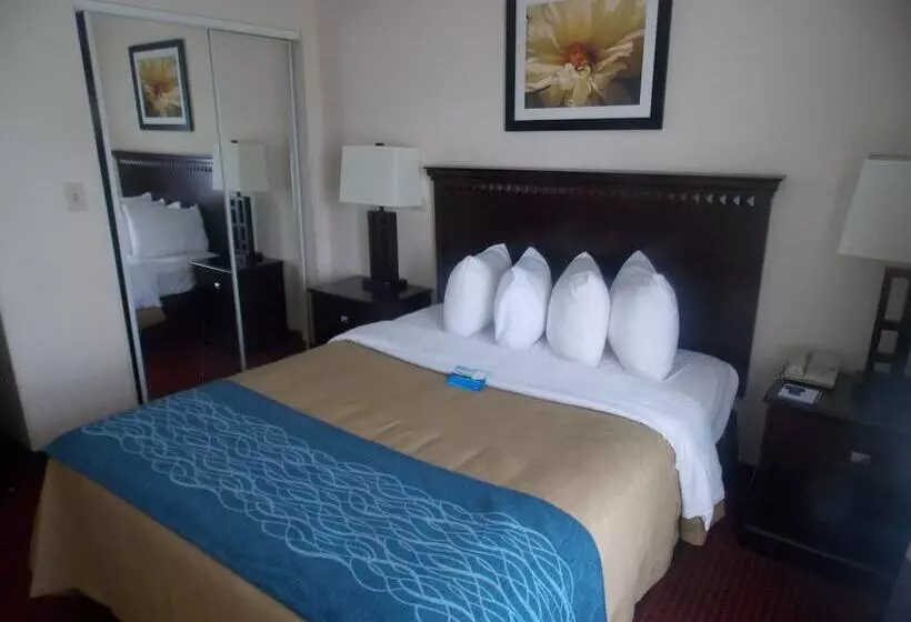 酒店 Decatur Inn & Suites