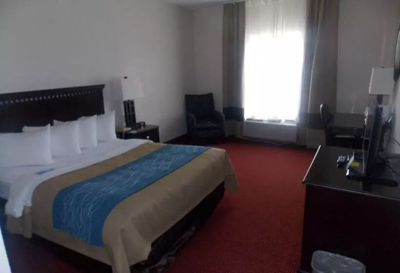 酒店 Decatur Inn & Suites