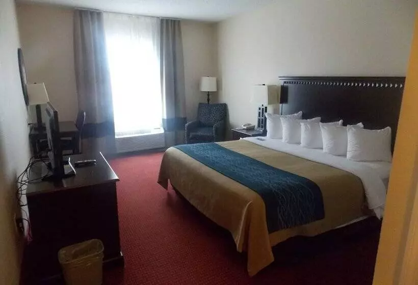 酒店 Decatur Inn & Suites