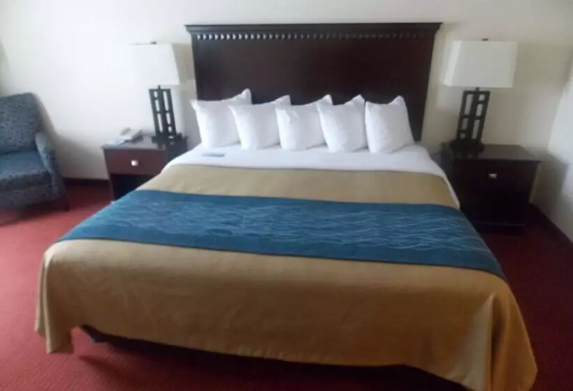 酒店 Decatur Inn & Suites