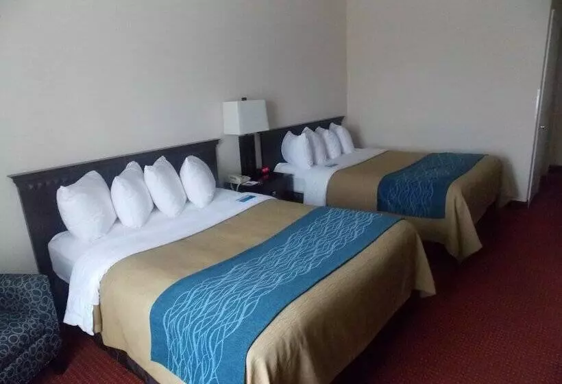 酒店 Decatur Inn & Suites