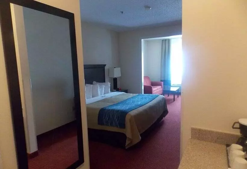 酒店 Decatur Inn & Suites
