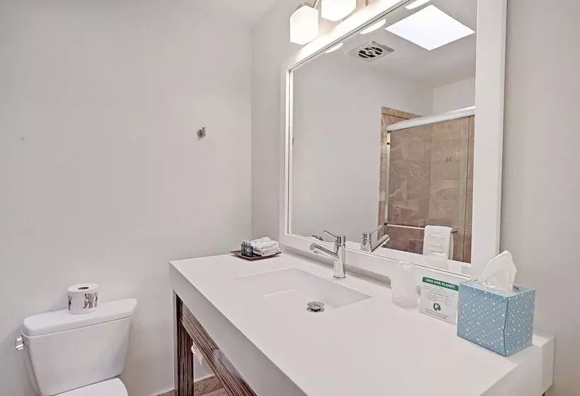 Hotelli Inndulge    A Modern Gay Men S Resort