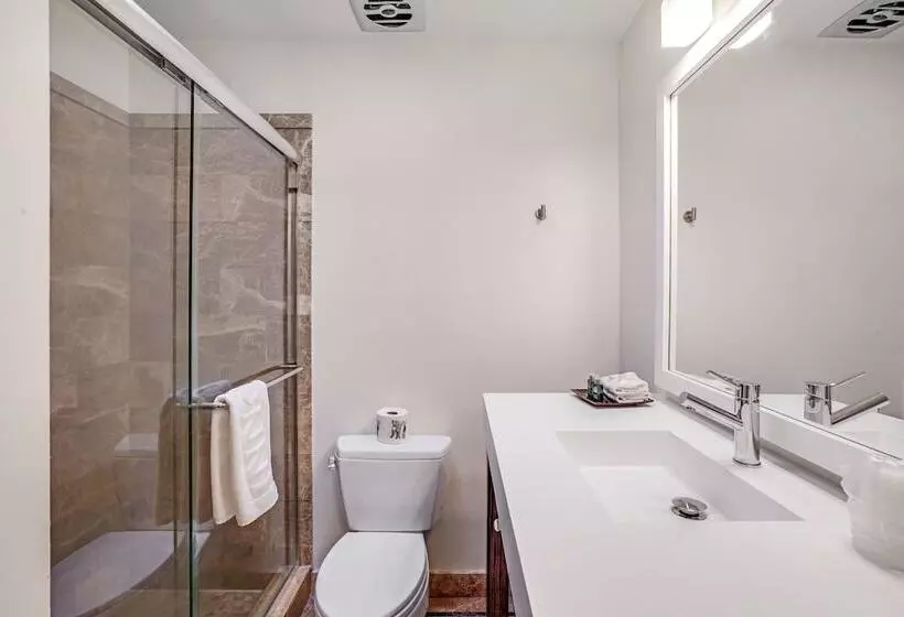 Hotelli Inndulge    A Modern Gay Men S Resort