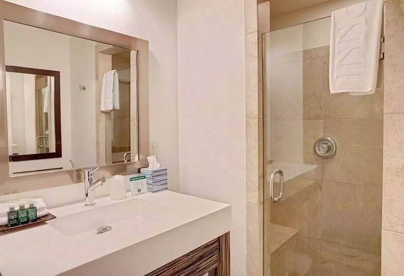 Hotelli Inndulge    A Modern Gay Men S Resort