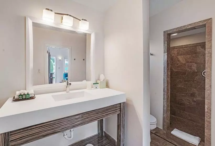 Hotelli Inndulge    A Modern Gay Men S Resort