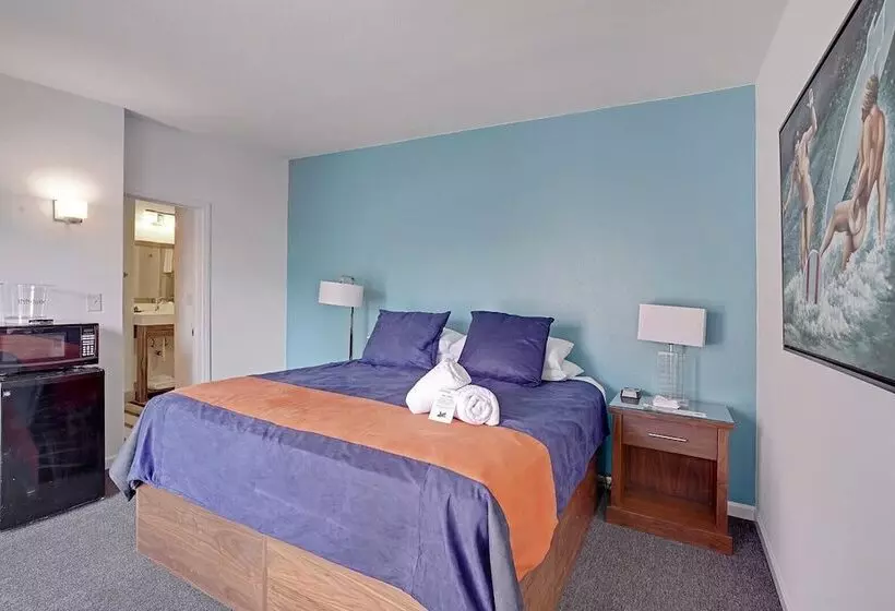 Hotelli Inndulge    A Modern Gay Men S Resort