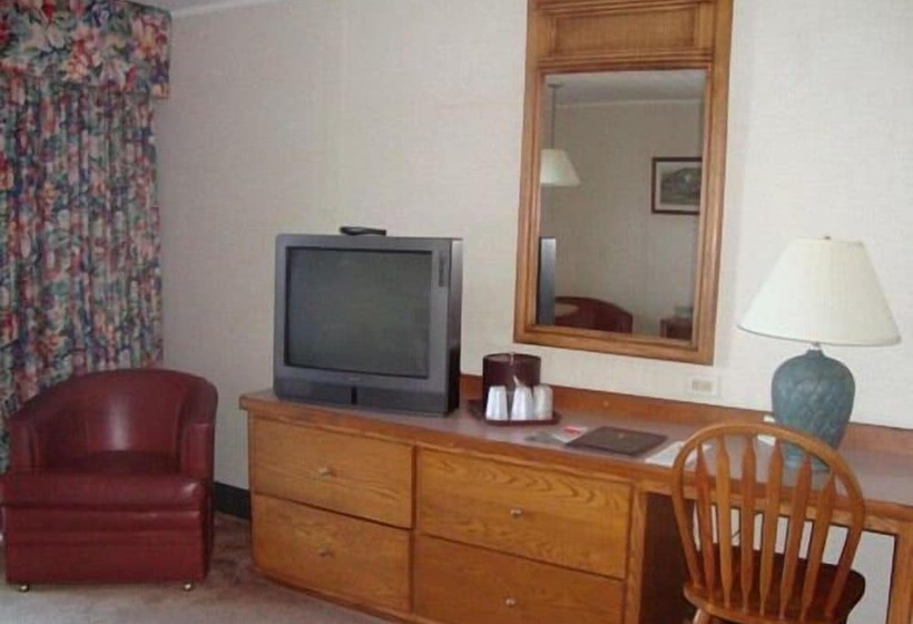 ホテル Island Resort