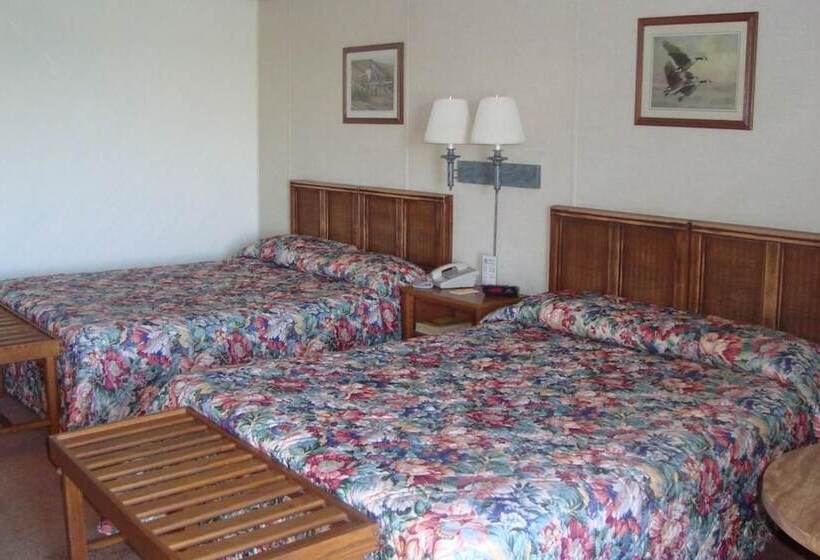 ホテル Island Resort