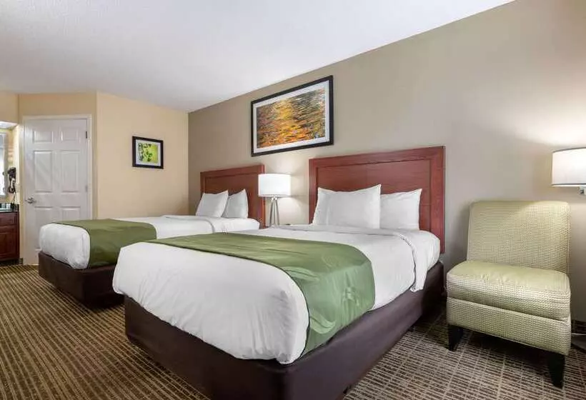 ホテル Quality Inn Cheraw