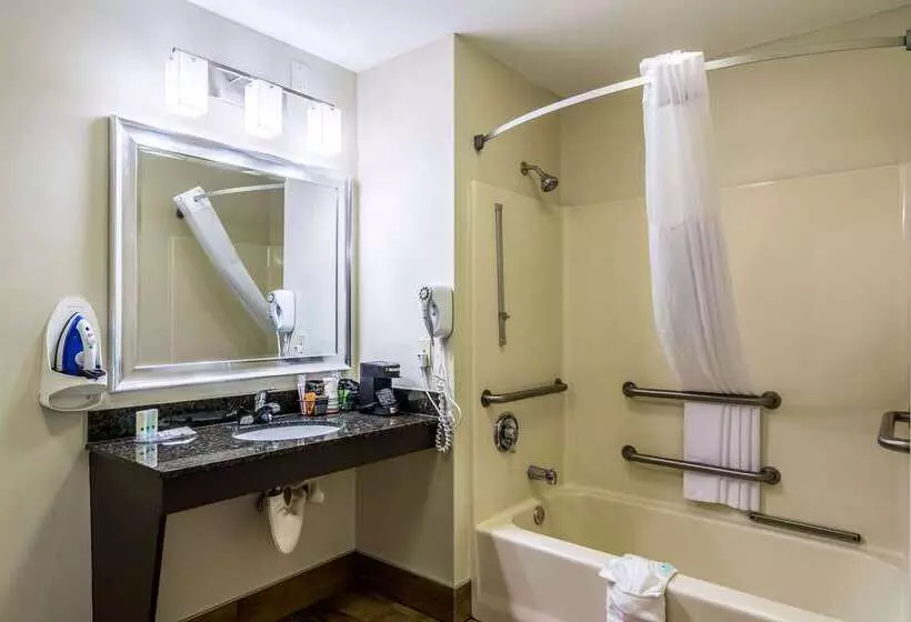 호텔 Quality Inn University Area