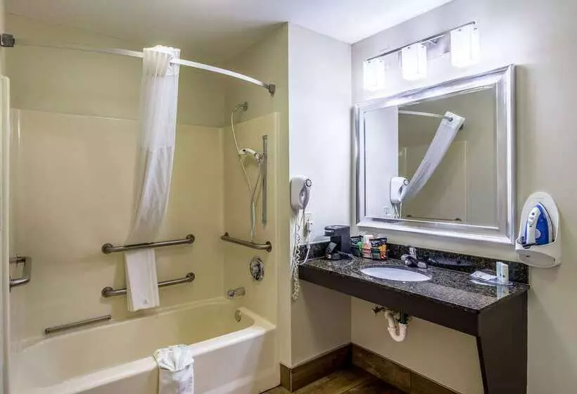 호텔 Quality Inn University Area