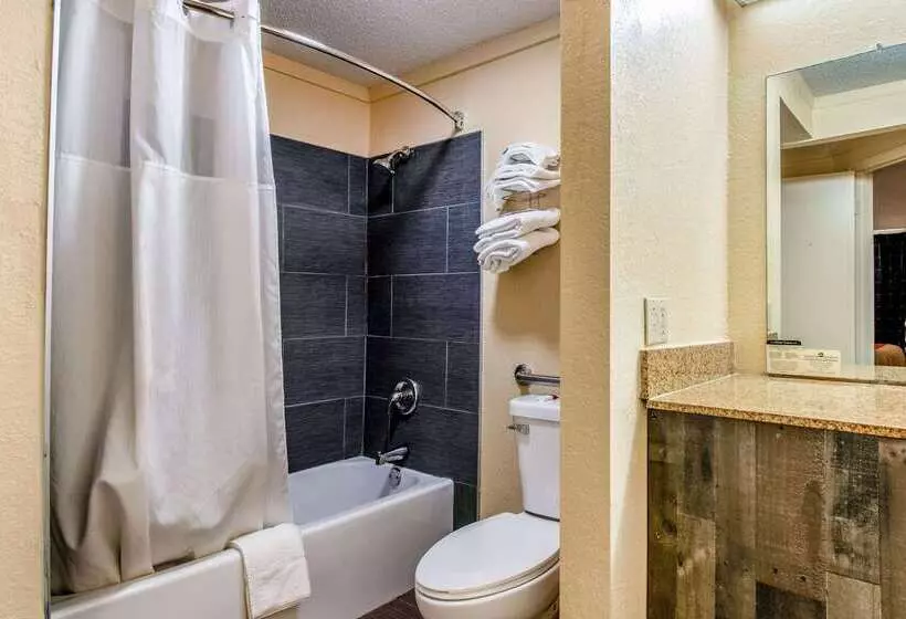 בית מלון כפרי Rodeway Inn