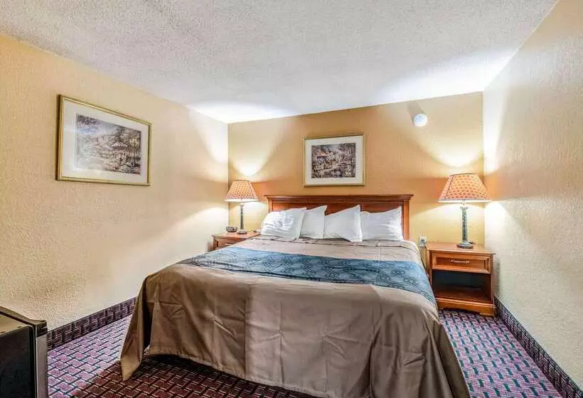 בית מלון כפרי Rodeway Inn