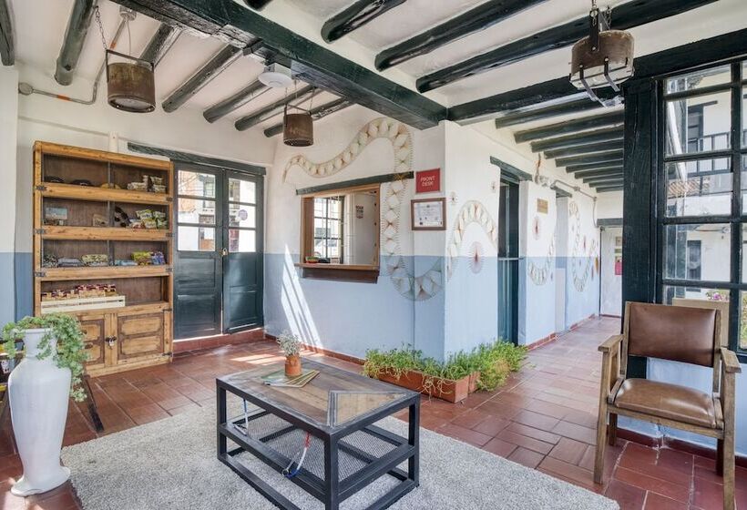 Общежитие Aceitunos