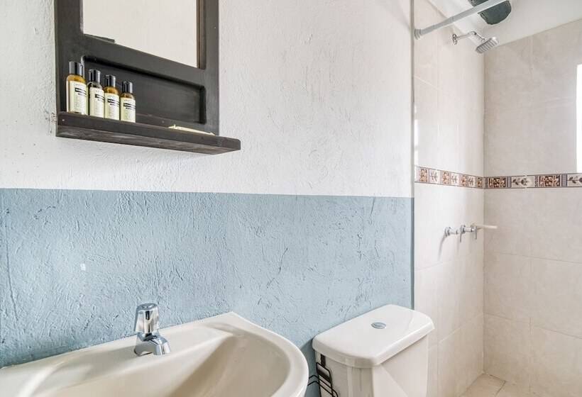 Общежитие Aceitunos