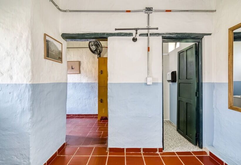 Общежитие Aceitunos