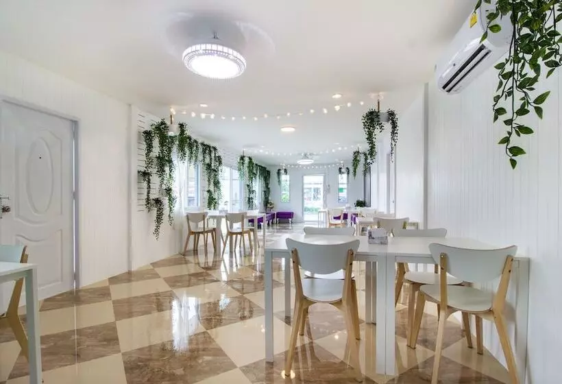 هتل The Bed Boutique House