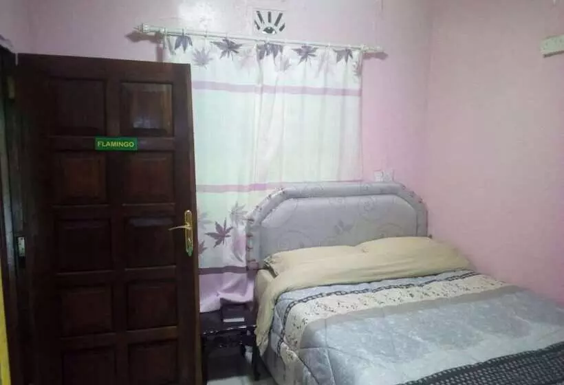 تختخواب و صبحانه Elpaso Lodge