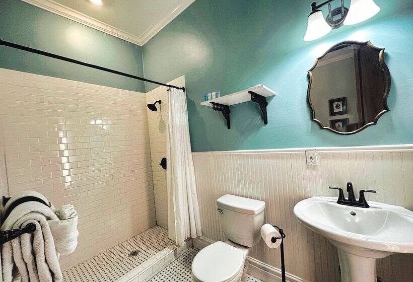 Bed & Breakfast The Mansion On 17th, Formerly Schaefer Haus