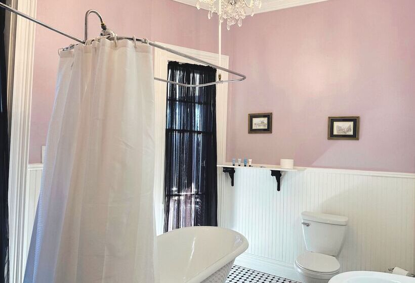 Bed & Breakfast The Mansion On 17th, Formerly Schaefer Haus