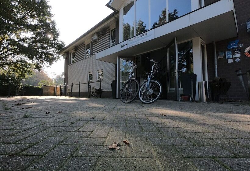 בית מלון כפרי Human & Horse