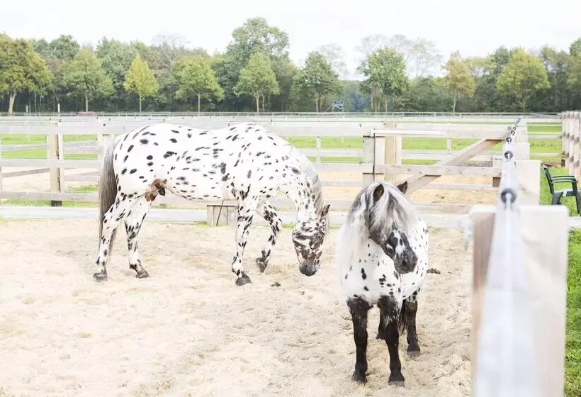 ホテル Human & Horse