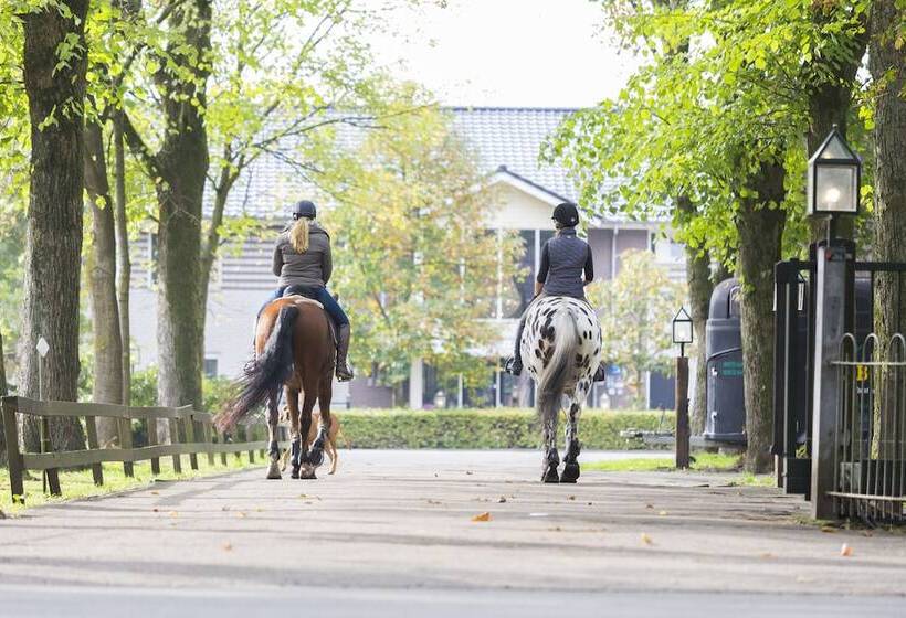 בית מלון כפרי Human & Horse