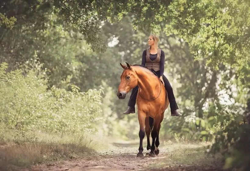 ホテル Human & Horse