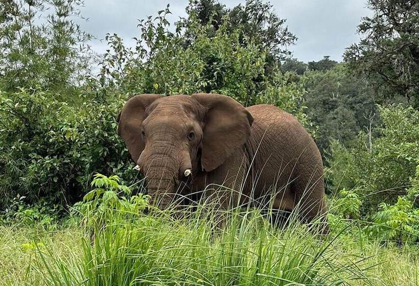 هتل Le Pristine Wellness And Healing